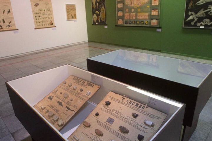 A instituição se prepara para uma ampla reforma estrutural voltada à acessibilidade e modernização do prédio. As obras devem começar em dezembro e seguir até 2028, período em que a exposição permanecerá aberta provisoriamente em outro espaço. As visitas guiadas continuam gratuitas para escolas e para o público em geral, mediante agendamento prévio.