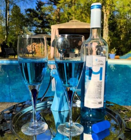 Desenvolvido por startup espanhola, vinho azul causa polêmica – Reprodução/Instagram