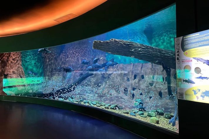 Bioparque Pantanal é o maior aquário de água doce do mundo – Reprodução @bioparquepantanaloficial