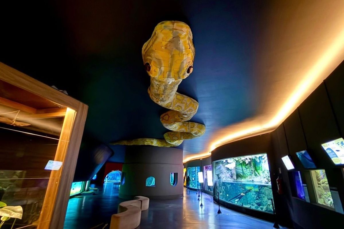 As reservas são liberadas semanalmente às segundas-feiras e parte das vagas é destinada prioritariamente a idosos e pessoas com deficiência. Combinando turismo, ciência, preservação ambiental e educação, o Bioparque Pantanal se tornou referência internacional em pesquisa de espécies de água doce e conservação da biodiversidade brasileira.