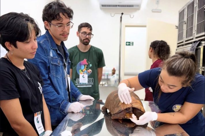 Bioparque Pantanal é o maior aquário de água doce do mundo – Reprodução @bioparquepantanaloficial