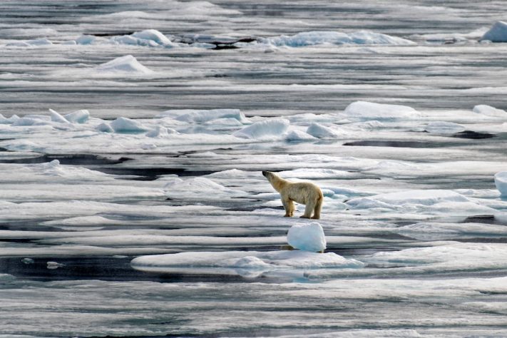 Crise climática, aquecimento global - Pexels/Gu Bra