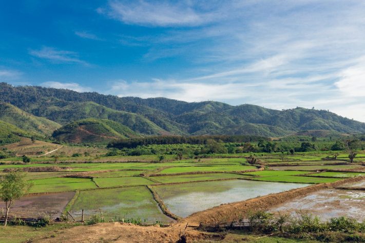 Plantações no Laos - Pexels/Thái Trường Giang