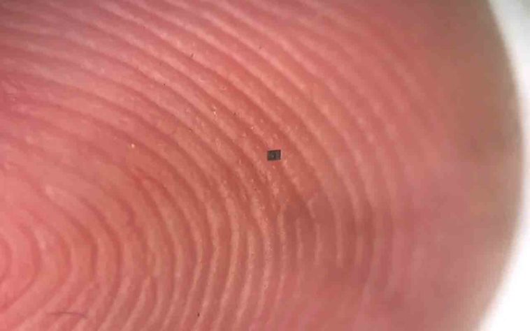 Pesquisadores dos Estados Unidos desenvolveram robôs microscópicos que tomam decisões e podem até 'nadar' dentro do corpo humano - Divulgação/Marc Miskin/Universidade da Pensilvânia
