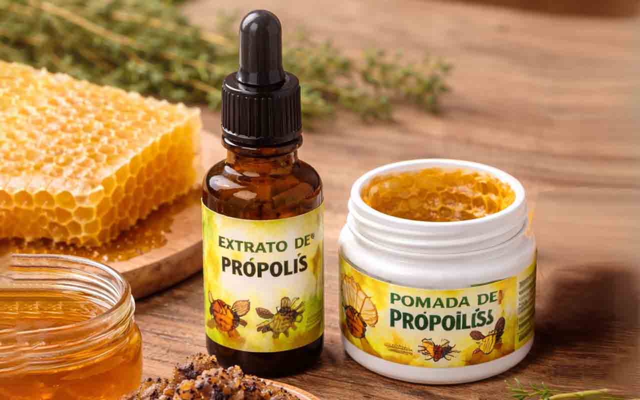 O própolis é muito conhecido por aliviar a dor de garganta, mas seus benefícios vão muito além disso. Isso ocorre devido às suas propriedades antimicrobianas, antivirais, antifúngicas e anti-inflamatórias, que ajudam a combater infecções e fortalecem o sistema imunológico. Trata-se de uma substância natural produzida pelas abelhas a partir da seiva das árvores, combinada com outros compostos, que origina uma resina marrom e pegajosa. Essa substância serve para vedar, proteger e higienizar a colm -  (crédito: Imagem gerada por I.A)