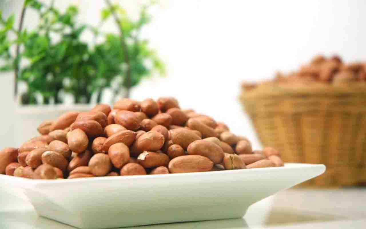 O amendoim está presente em receitas que fazem parte da culinária brasileira e pode dar origem a uma grande variedade de delícias, de doces tradicionais a petiscos e pastas cremosas. Além do sabor marcante e da versatilidade na cozinha, também fornece proteínas vegetais, fibras, vitaminas, minerais e gorduras saudáveis quando consumido com moderação. Conheça algumas das formas mais populares de aproveitar esse ingrediente. -  (crédito: Imagem de forwimuwi73 por Pixabay)