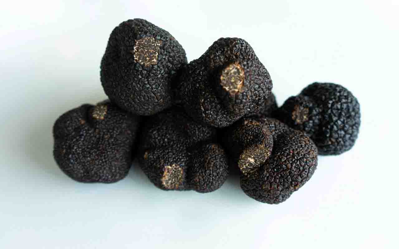 A culinária global tem iguarias peculiares que são bastante apreciadas por quem entende de gastronomia. Uma delas é a trufa negra.Também conhecida como trufa Périgord ou trufa negra francesa, é um fungo subterrâneo comestível nativo do sul da Europa, apreciado por seu sabor e aroma terrosos e intensos. -  (crédito: Big Dodzy unplash)