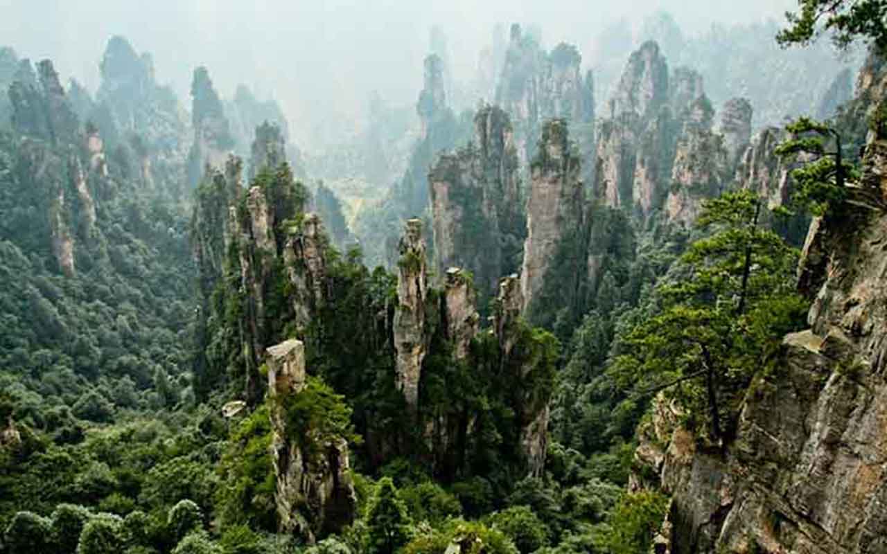 Zhangjiajie é um destino que parece saído de um sonho. Localizado na província de Hunan, região central da China, o Parque Florestal Nacional abriga montanhas verticais impressionantes e que desafiam a gravidade em um legítimo convite à contemplação. Foi esse cenário surreal, aliás, que inspirou as paisagens flutuantes de Pandora, em 'Avatar' (2009), transformando a região em ícone mundial. 

 -  (crédito: Reprodução do Flickr Mary Bell)