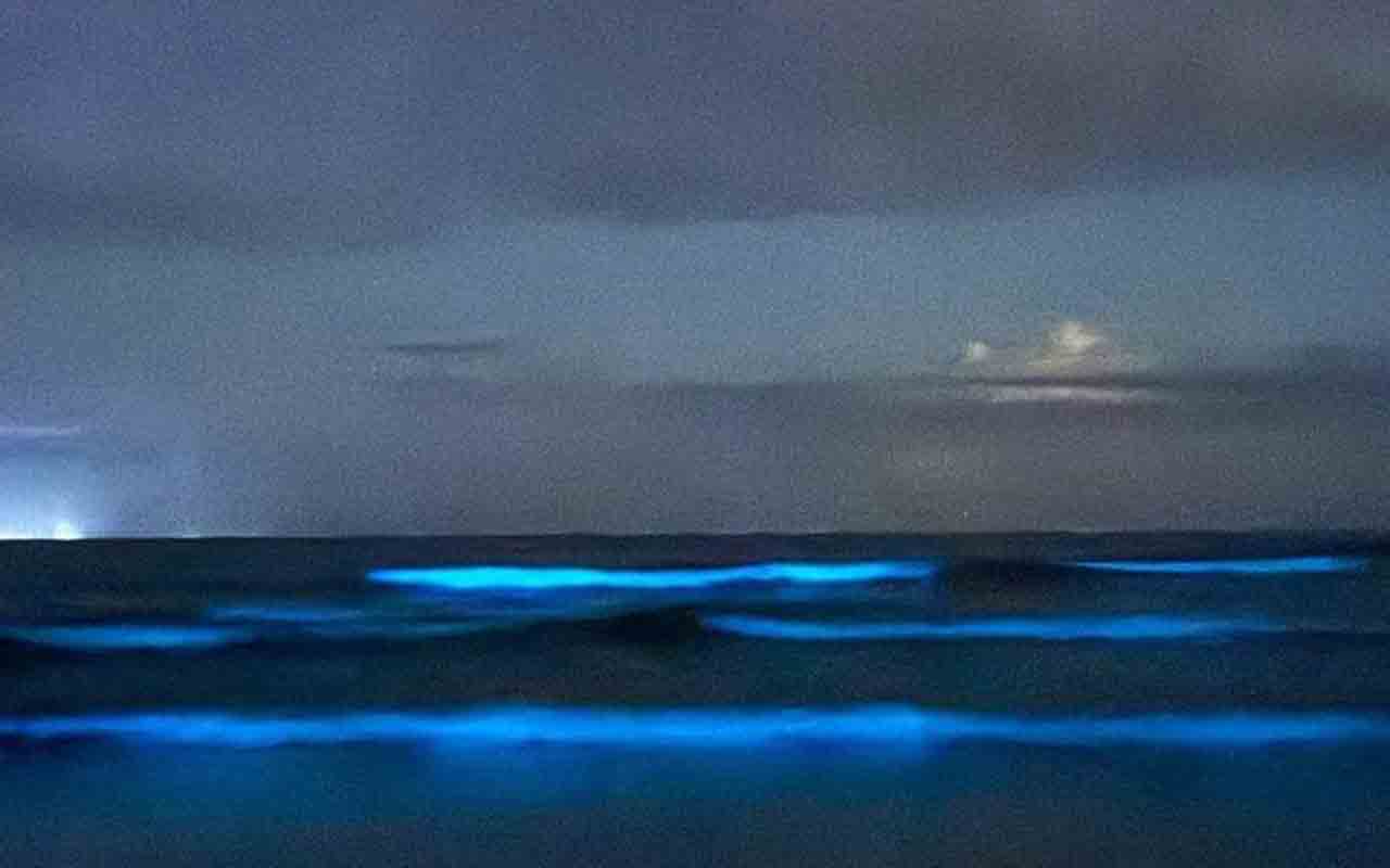 Em março de 2025, moradores e turistas presenciaram esse espetáculo natural na Praia de Itamambuca, em Ubatuba, no litoral norte de São Paulo. Durante a noite, as ondas ganharam um intenso brilho azulado provocado por organismos bioluminescentes presentes no mar.