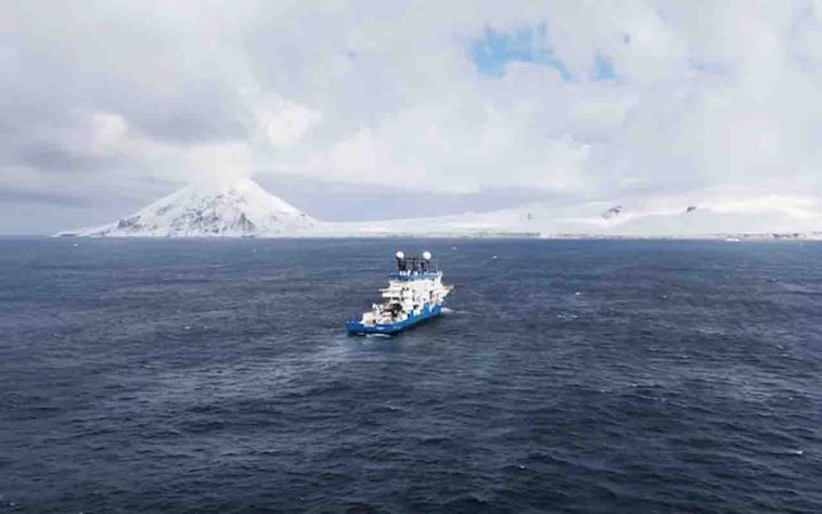 Expedição do Censo dos Oceanos descobre novas espécies marinhas - Divulgação/Ocean Census