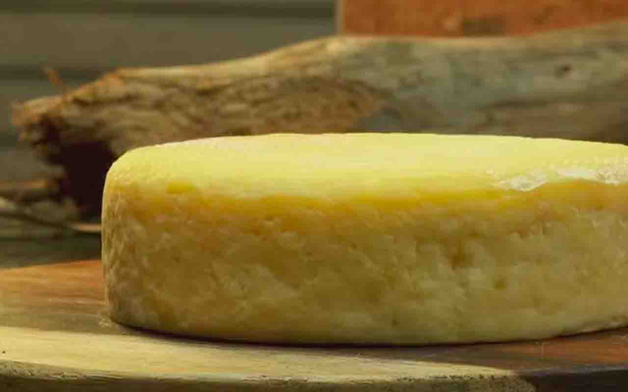 A consolidação do queijo como alimento global ocorreu graças às rotas comerciais e à transmissão de saberes entre diferentes povos. Países europeus se destacaram historicamente na produção, criando receitas que ganharam reconhecimento internacional pela qualidade e pela tradição.

Hoje, o queijo faz parte do cotidiano de milhões de pessoas, sendo consumido no café da manhã, em refeições principais e em receitas sofisticadas. Grandes produtores se especializaram em técnicas específicas, que valor