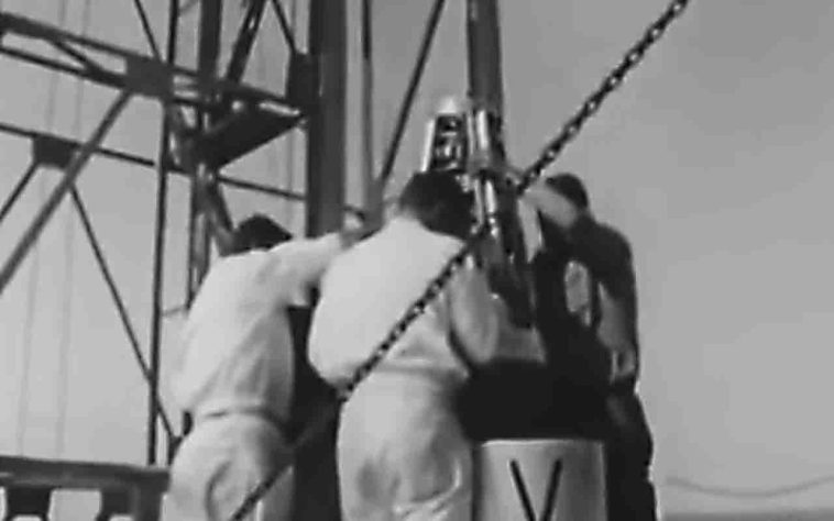Em 18 de outubro 1963, a França enviou ao espaço uma gata de rua chamada Félicette - Reprodução