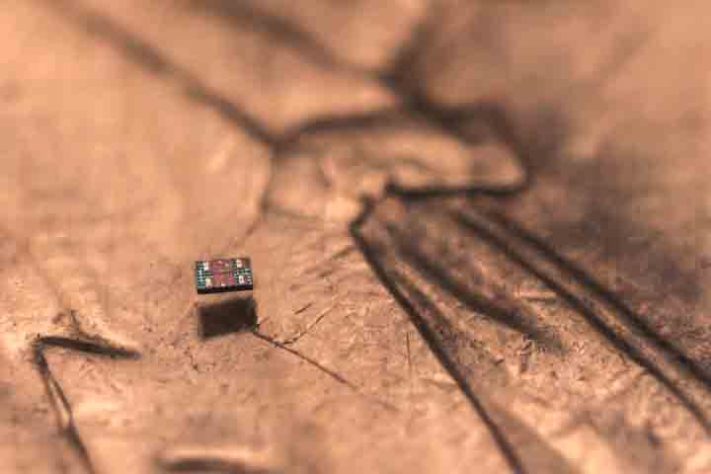 Pesquisadores dos Estados Unidos desenvolveram robôs microscópicos que tomam decisões e podem até 'nadar' dentro do corpo humano - Michael Simari/University of Michigan