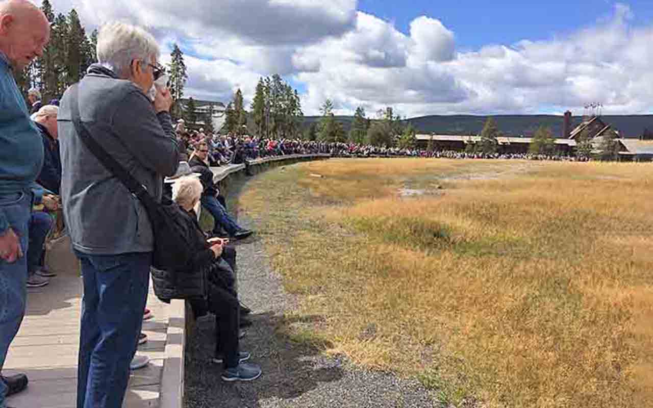 Situado na Bacia Superior de Gêiseres, no sudoeste de Yellowstone, ele é o mais acessível dos gêiseres. Sua área de observação é a mais preparada do parque. Conta com passarelas seguras, além de bancos, amplo estacionamento e um centro de visitantes moderno que monitora altura, duração e intervalos das erupções, permitindo previsões quase exatas e oferecendo informações científicas e educativas. 
