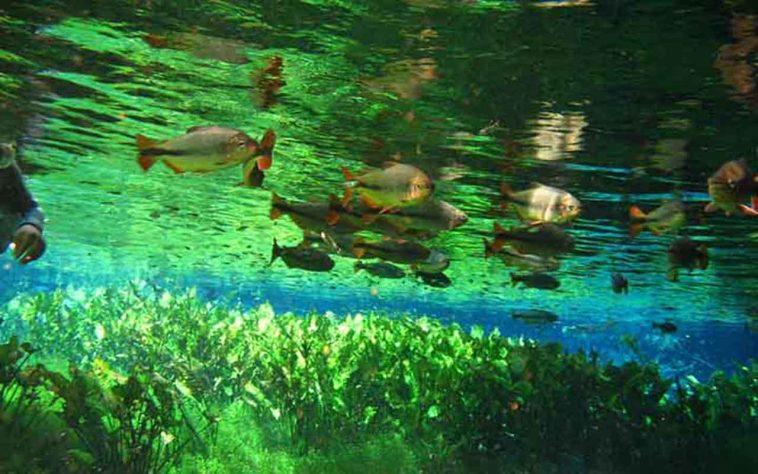 Bonito (MS), destino do ecoturismo