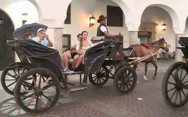 Poços de Caldas encerra serviço de charretes a cavalo