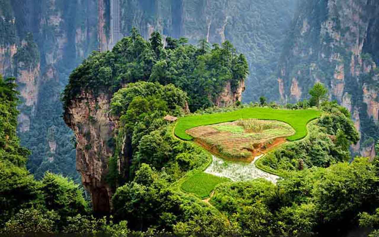 Fundado em 1982, foi o primeiro parque nacional da China. Com mais de 3 mil pilares de pedra, rios cristalinos e cachoeiras, é considerado Patrimônio Mundial da UNESCO. A diversidade ecológica impressiona, com espécies raras de plantas e animais que reforçam seu valor ambiental.