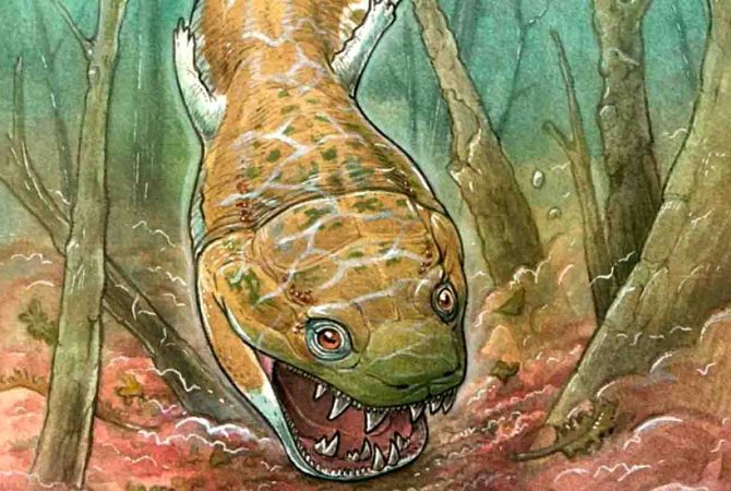 Descoberta de fóssil na Namíbia jogou luz em detalhes da salamandra gigante