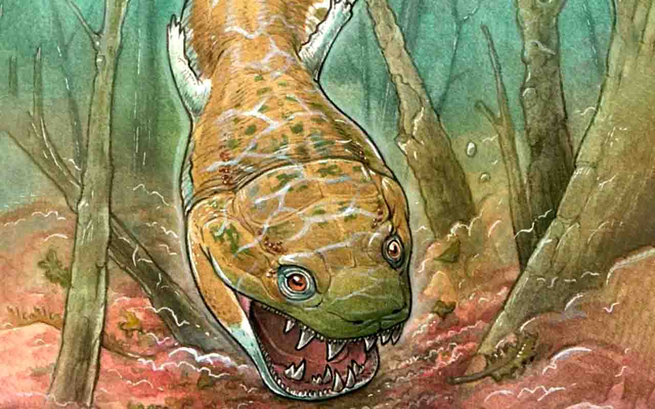 Cientistas encontram fóssil de salamandra gigante pré-histórica - Gabriel Lio/Divulgação