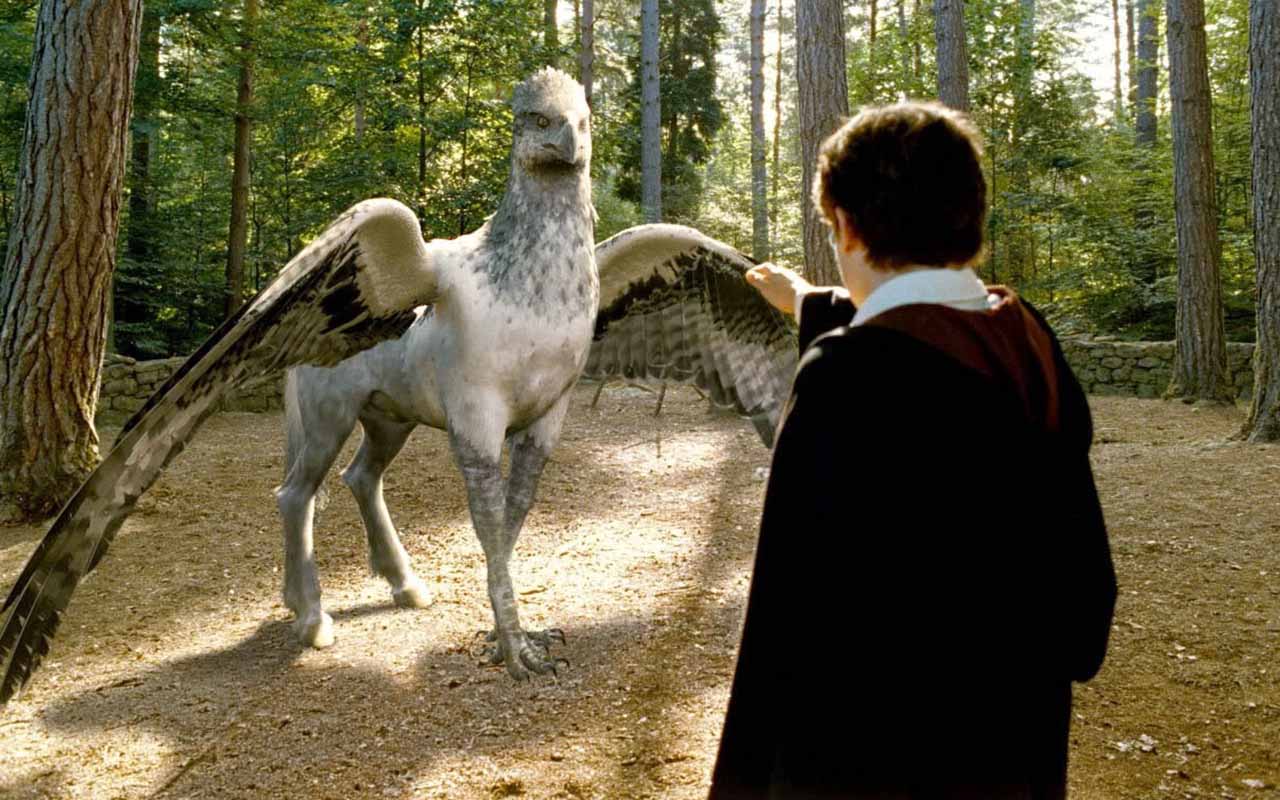Bicuço – Hipogrifo majestoso que pertence a Hagrid e depois a Sirius. Extremamente orgulhoso, salva Harry e seus amigos no terceiro livro/filme.
