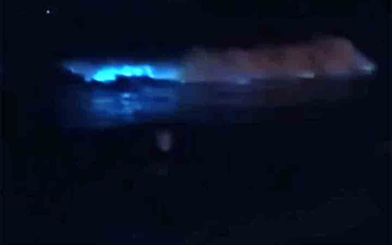 Quando estimulados, muitos organismos bioluminescentes emitem uma luz visível com pouquíssima produção de calor. Os vaga-lumes são um exemplo conhecido: seus sinais luminosos servem principalmente para comunicação e atração de parceiros, mas também podem funcionar como advertência contra predadores.