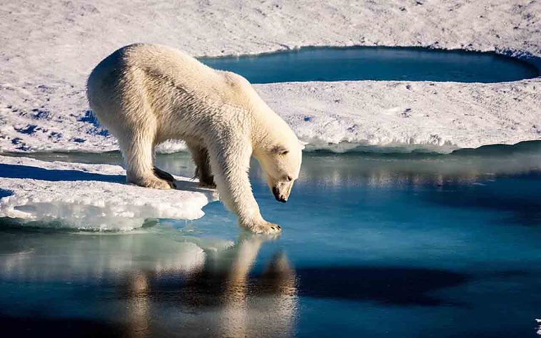 FOTO: Nasa/Wikimedia Commons