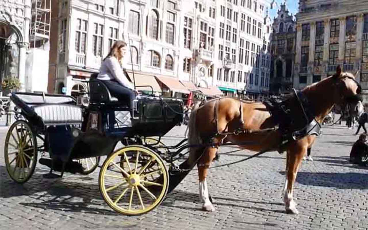 Bruxelas - Em agosto de 2024, a capital da Bélgica tornou-se a primeira cidade da Europa a implementar uma transição completa das carruagens turísticas a cavalo para veículos elétricos. 
