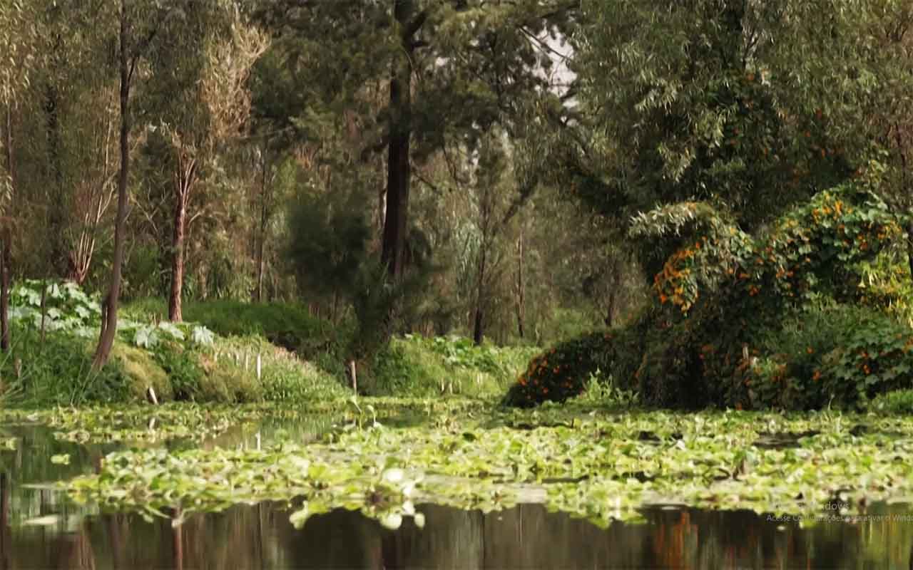 A fama do lugar cresceu rapidamente e transformou a ilha em um dos destinos mais curiosos do México. Em 2001, um acontecimento reforçou ainda mais os mitos associados ao local: Don Julián morreu afogado em uma área do canal próxima ao ponto onde dizia ter encontrado a criança décadas antes.