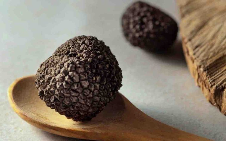 Trufas negras