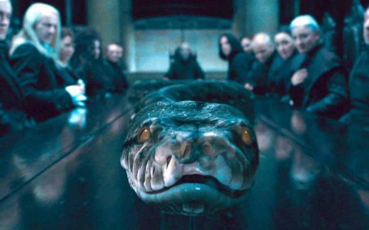 Nagini – Serpente de Voldemort e uma de suas Horcruxes. Mortal e traiçoeira, é responsável pela morte de Severo Snape.
