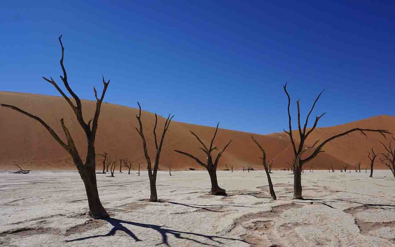 O Deserto do Namibe (ou da Namíbia) é considerado o mais antigo do planeta, com cerca de 55 milhões de anos. O tom alaranjado da areia é a prova do tempo, já que quanto mais antiga a duna, mais intensa é sua cor. Assim, caminhar por Sossusvlei é também percorrer milhões de anos de história geológica.