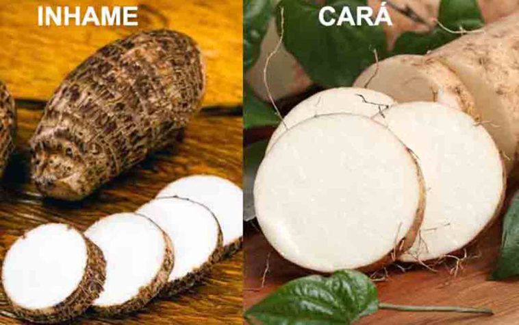 Qual a diferença do inhame para o cará?