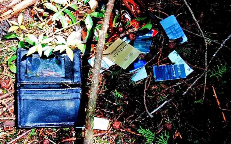A fama internacional da floresta aumentou durante o século 20 - Floresta Aokigahara, situada na base noroeste do monte Fuji, no Japão - Reprodução de Rede Social