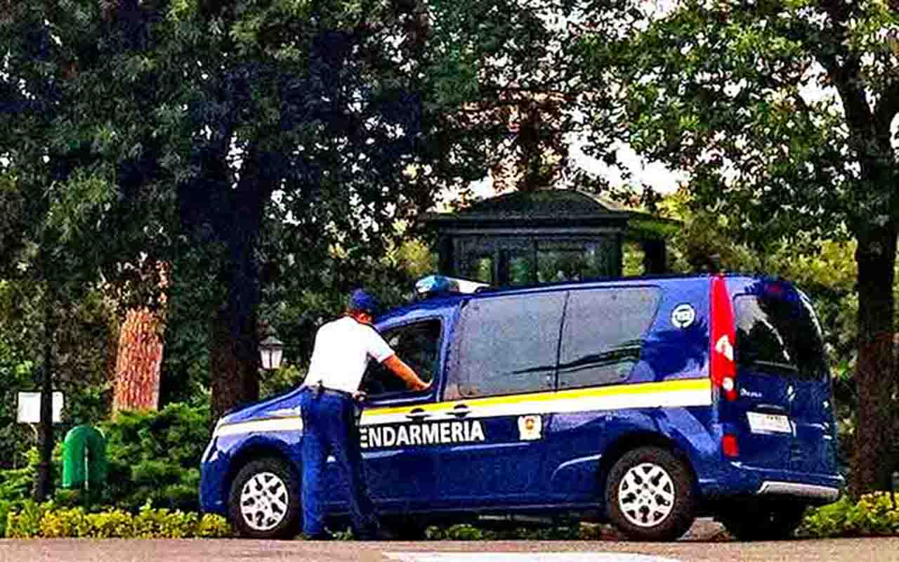 A Guarda Suíça difere da Gendarmaria Vaticana, força policial responsável pela segurança pública, pela manutenção da ordem e pelo cumprimento das leis no território do Vaticano. A Gendarmaria também atua na prevenção e investigação de crimes.