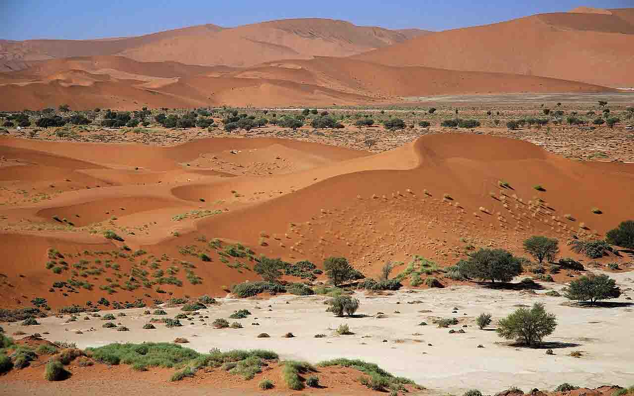 O clima em Sossusvlei é extremo: dias quentes, noites frias e chuvas raras. Nos meses de janeiro e fevereiro, quando a água chega, formam-se lagos temporários que refletem intensamente o céu azul. Essa alternância entre seca e umidade cria um ecossistema surpreendente em meio ao deserto.