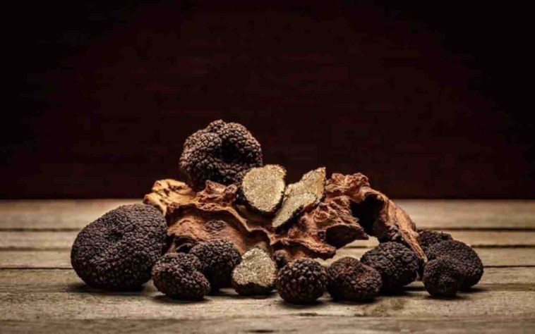 Trufas negras