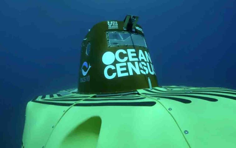 Projeto Censo dos Oceanos - Divulgação/Ocean Census