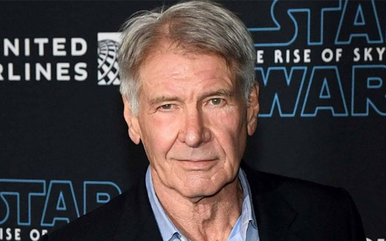 Mesmo após décadas em Hollywood, Ford continua sendo um nome de grande prestígio na indústria do entretenimento. Harrison Ford é também um hábil carpinteiro. Antes de alcançar fama, ele fazia reformas e móveis sob medida para complementar a renda enquanto tentava conseguir papéis como ator.