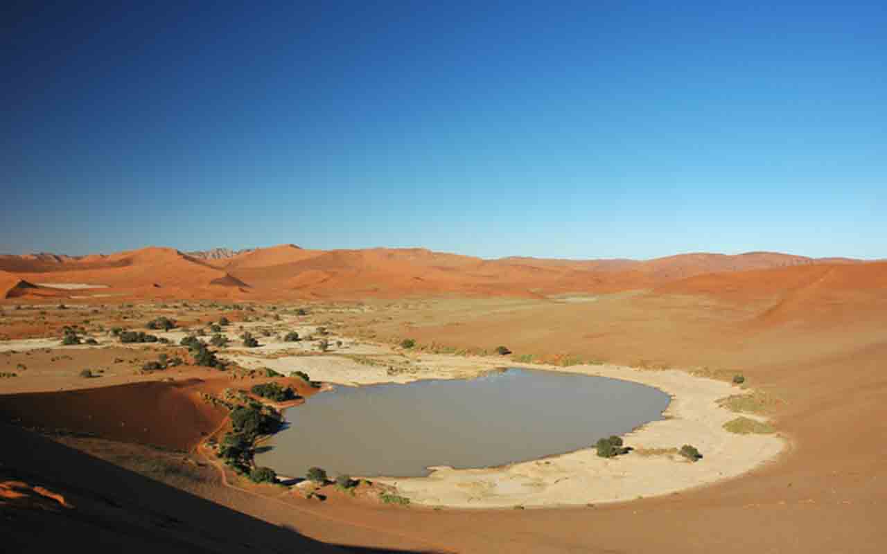 Apesar da aridez, Sossusvlei abriga uma fauna adaptada. Insetos, répteis e pequenos mamíferos sobrevivem graças às estratégias de conservação de água e ao aproveitamento das raras chuvas. Dessa forma, a vida se mostra resistente e engenhosa diante das condições adversas.