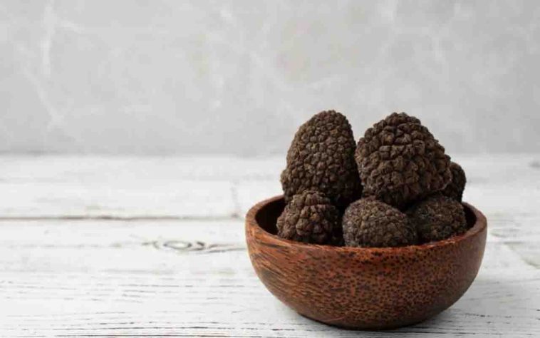 Trufas negras
