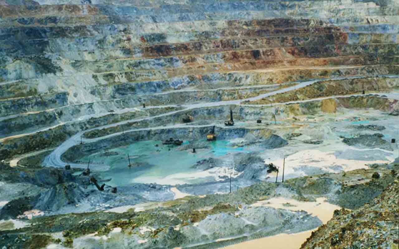 A economia da Geórgia é diversificada e se pode destacar a indústria química e têxtil, além da mineração de manganês e cobre e o cultivo de frutas cítricas.
