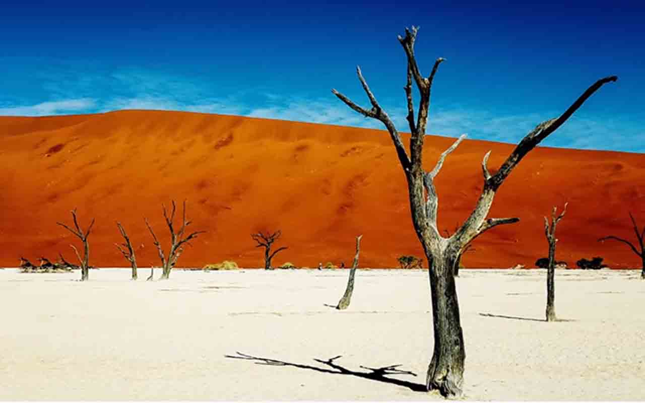 Entre as dunas, encontra-se um segredo protegido: o Deadvlei, que se trata de uma imensa bacia de argila branca composta por árvores fossilizadas de mais de 900 anos. O contraste entre o solo claro, os troncos escuros e as dunas alaranjadas cria uma paisagem surreal. 
