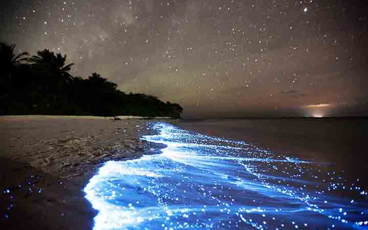 Ilha Vaadhoo - Ilha das Maldivas, no Oceano Índico, é conhecida pelo fenômeno bioluminescente causado por plânctons 
