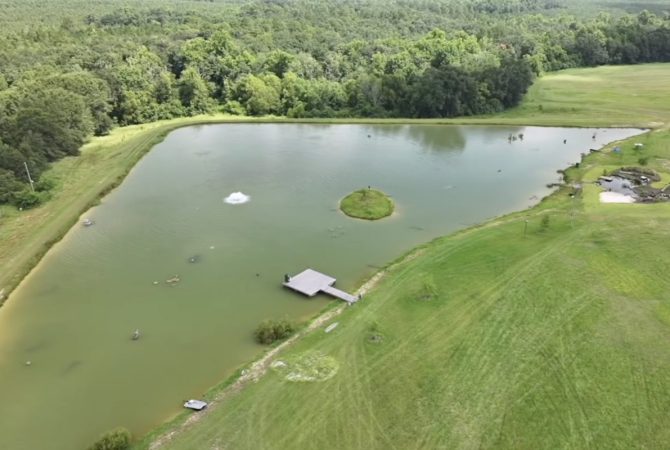 Ilhas flutuantes artificiais e milhares de peixes-isca estão revitalizando um lago de 20 mil m² nos Estados Unidos