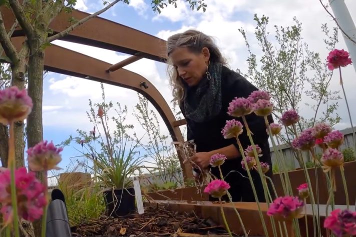 King's College Hospital, em Londres, inaugura jardim no terraço para receber pacientes de unidade de terapia intensiva – Divulgação