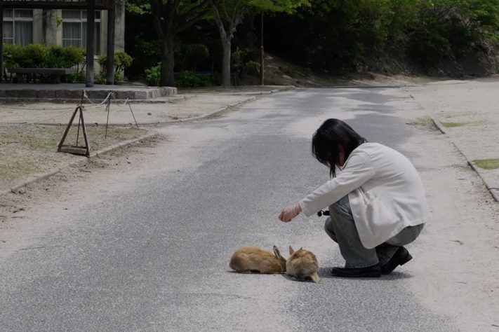 Okunoshima, ilha dos coelhos, Japão – Reprodução/YouTube Jin Travelog