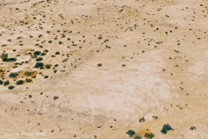 Projeto da Grande Muralha Verde prevê a construção de um corredor florestal com aproximadamente 8 mil quilômetros de extensão para tentar conter avanço da desertificação do Saara – Reprodução/YouTube Solar Paths