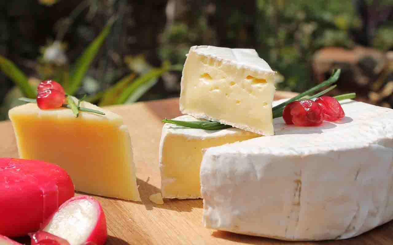 Camembert – Também de pasta mole e casca branca, o camembert tem origem na região francesa da Normandia e possui sabor suave que se intensifica com o tempo. É semelhante ao brie, mas geralmente menor.
