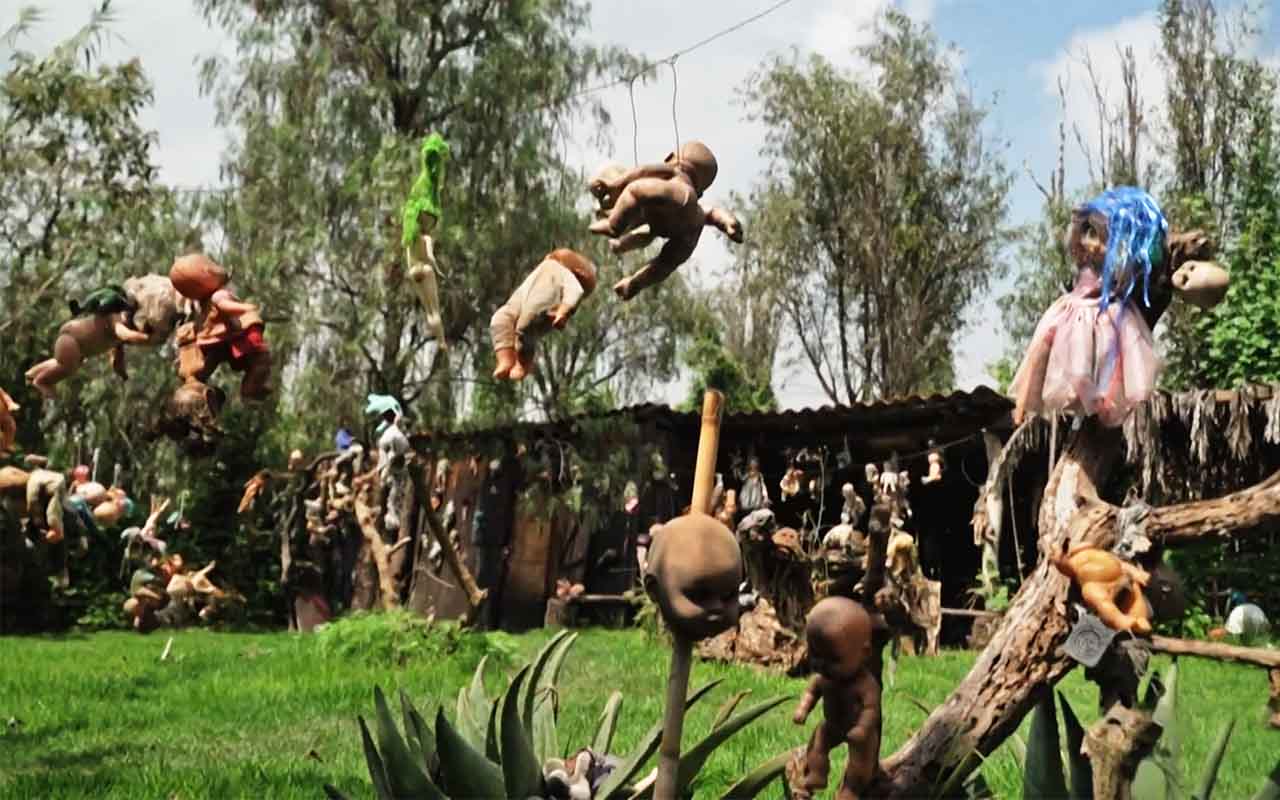 Muitas dessas bonecas apresentam sinais avançados de deterioração e estão sem braços, sem olhos, cobertas por musgo, sujeira e marcas do tempo, o que cria uma atmosfera considerada perturbadora por muitos visitantes. A origem dessa paisagem incomum está ligada à história de Don Julián Santana Barrera, antigo morador da ilha. Segundo a lenda mais conhecida, ele encontrou o corpo de uma menina que teria se afogado em um dos canais próximos. 