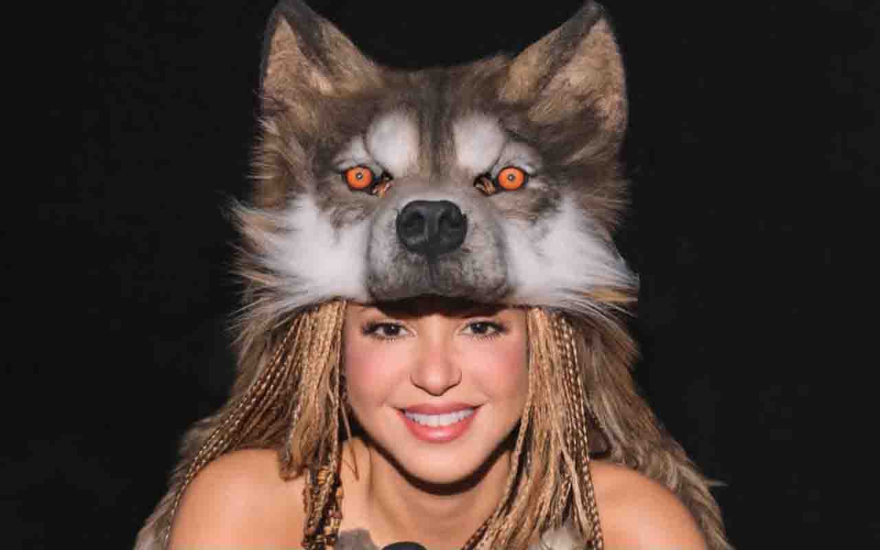 Assim como na metáfora popularizada por Shakira, as lobas reais simbolizam resistência, união e inteligência. Na natureza, essas qualidades são fundamentais para manter o equilíbrio da alcateia e garantir a continuidade da espécie.